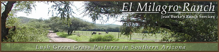 El Milagro Ranch